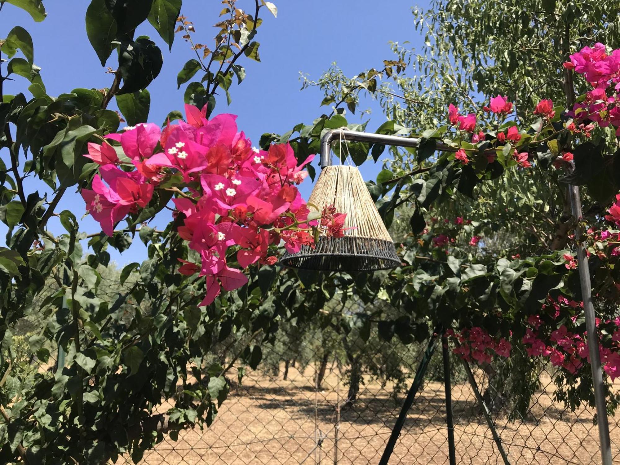 Casapiuholidaysicilia-Adults Only โนโต ห้อง รูปภาพ